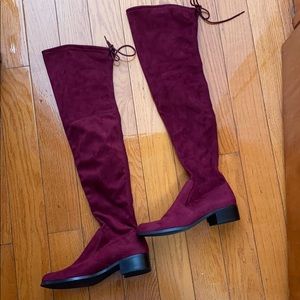 🆕Charles by Charles David Over the knee boots